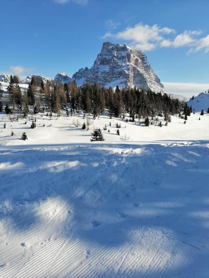 Appartamento Alto Cordevole Colle Santa Lucia Esterno foto